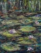 Waterlilies - Patrycja Walton