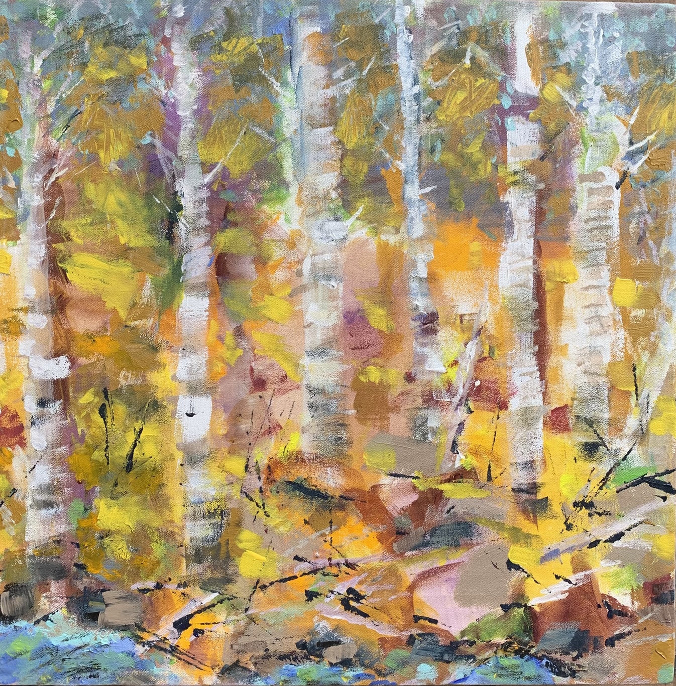 Foret des bouleaux