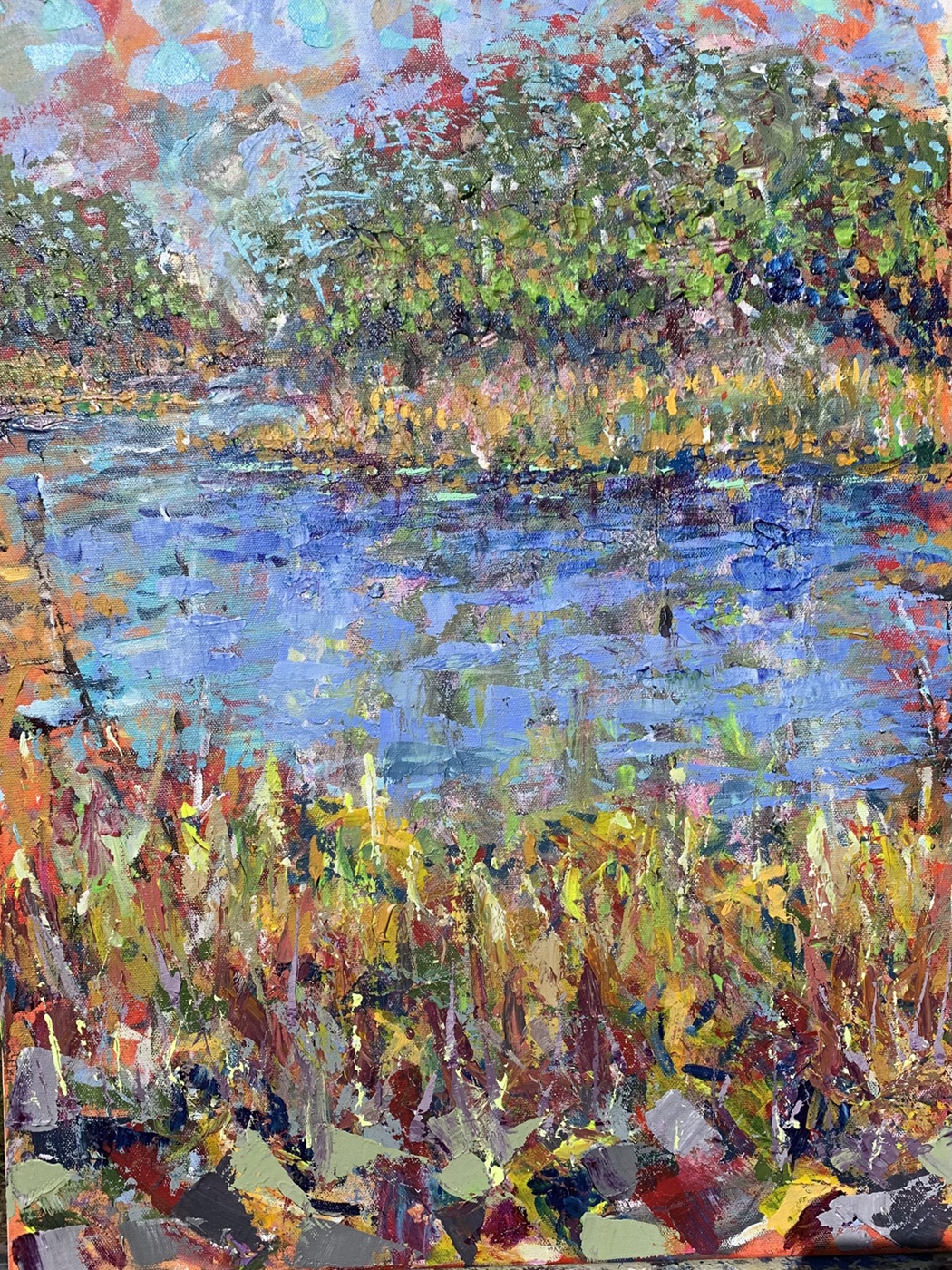 Marais dans lpres-midi